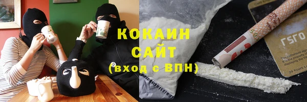 индика Богородск