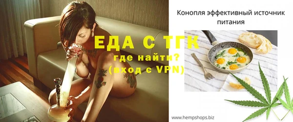 индика Богородск