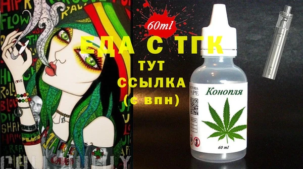 индика Богородск