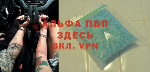 индика Богородск