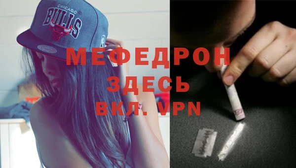 индика Богородск