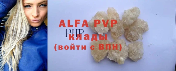 индика Богородск