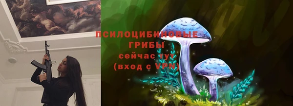 COCAINE Богородицк