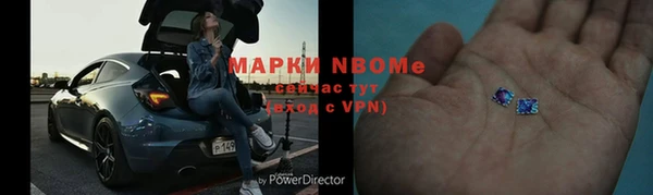 индика Богородск
