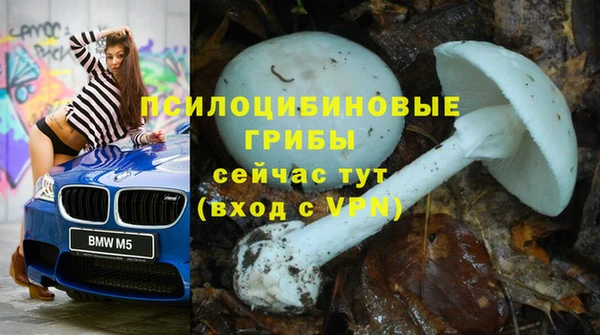 COCAINE Богородицк