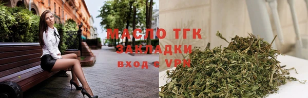 индика Богородск