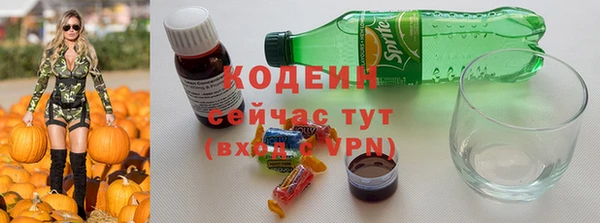 индика Богородск