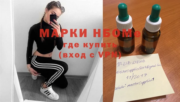индика Богородск