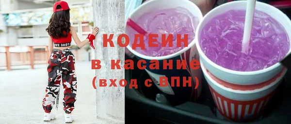 индика Богородск